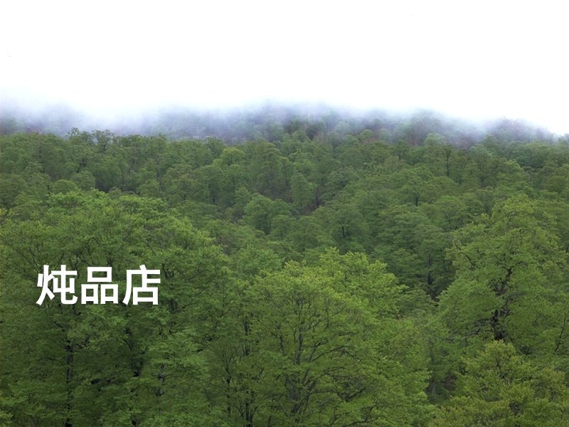 炖品