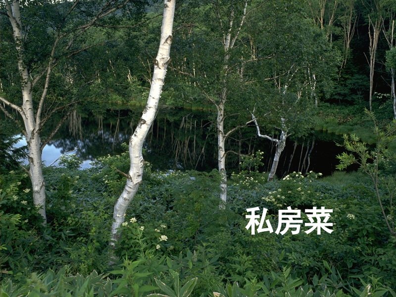 私房菜