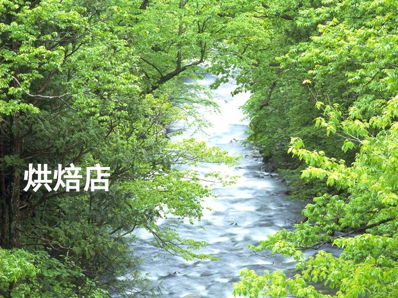 面包烘焙