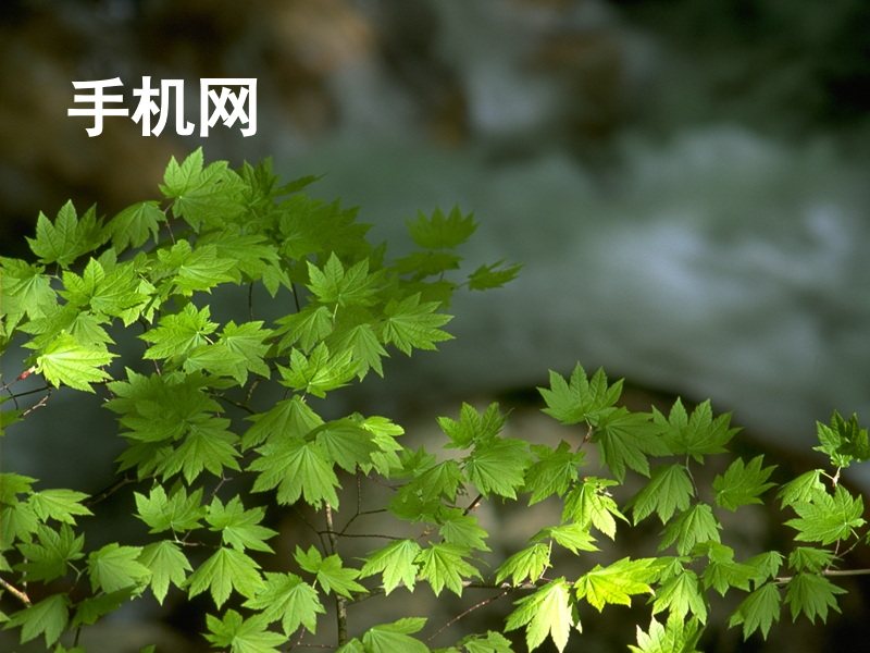 手机