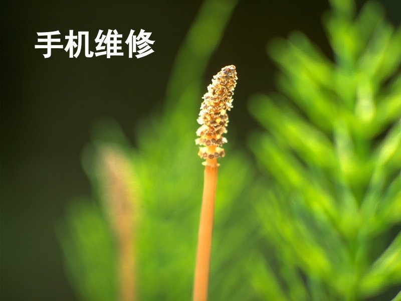 手机维修