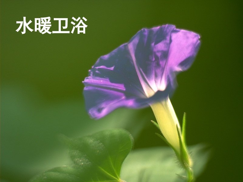 水暖卫浴