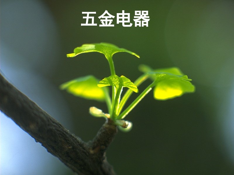 企业
