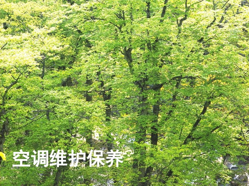 空调维护保养