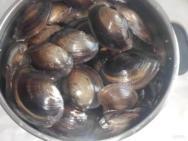 海鲜河鲜