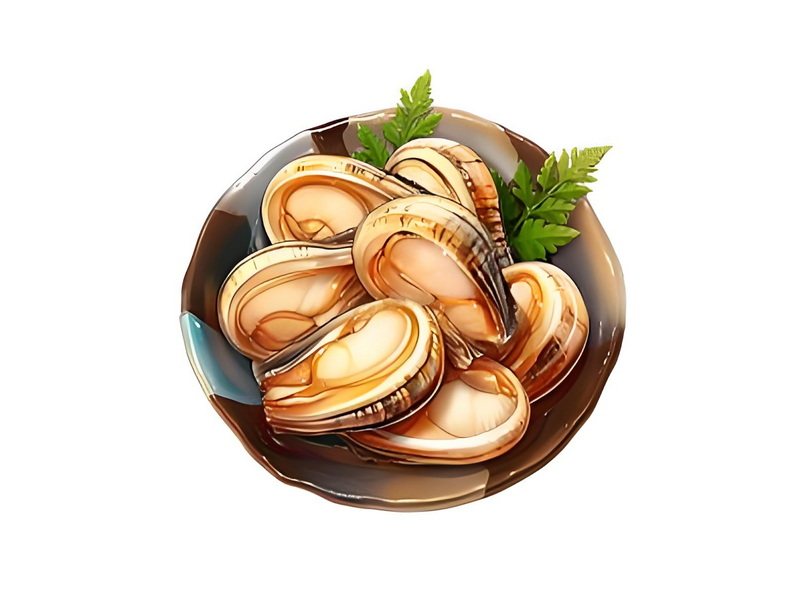 贝壳鲍鱼