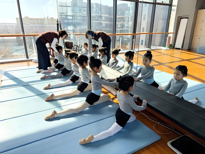 种子教育培训