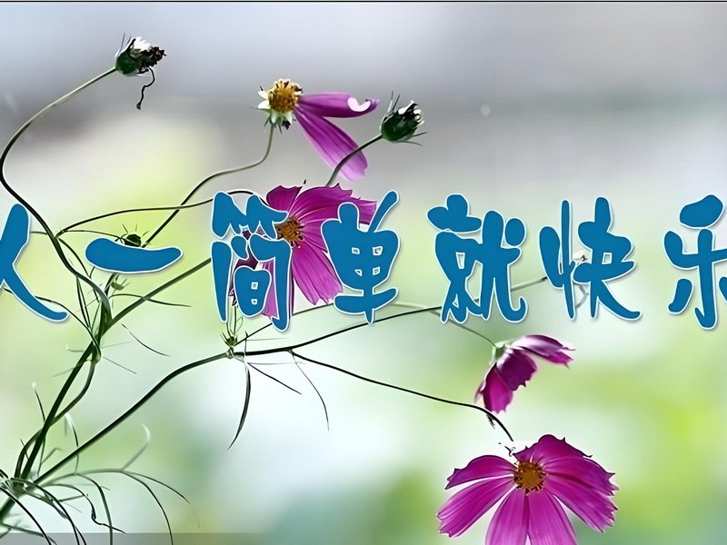 快乐人生