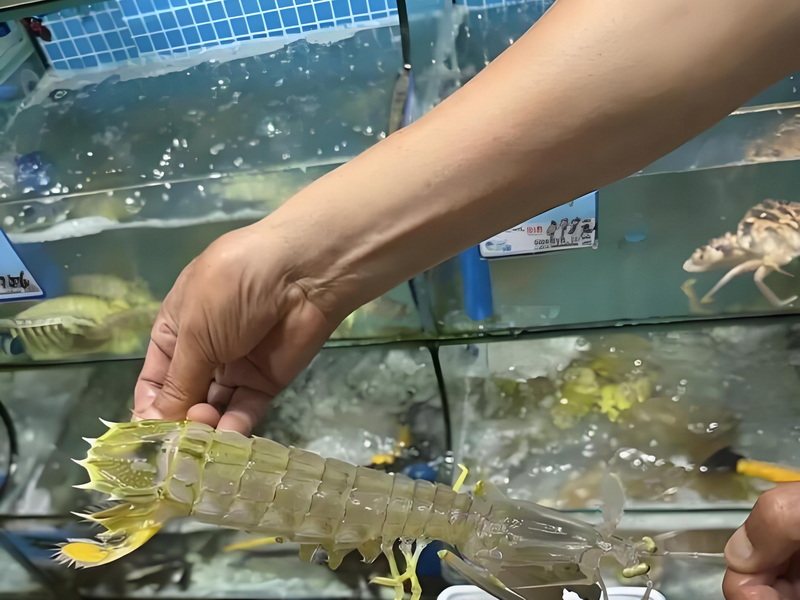 海鲜河鲜