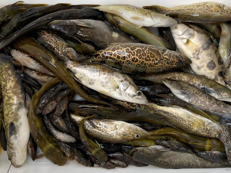 海鲜河鲜