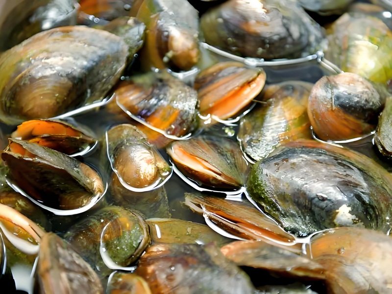 海鲜河鲜