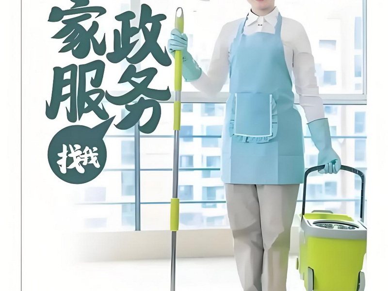 家政保洁w