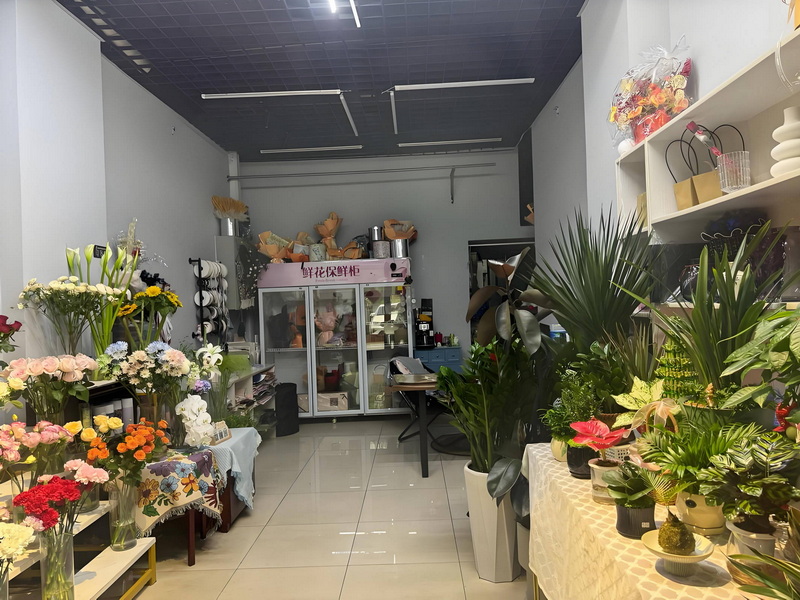 国宝花卉植物