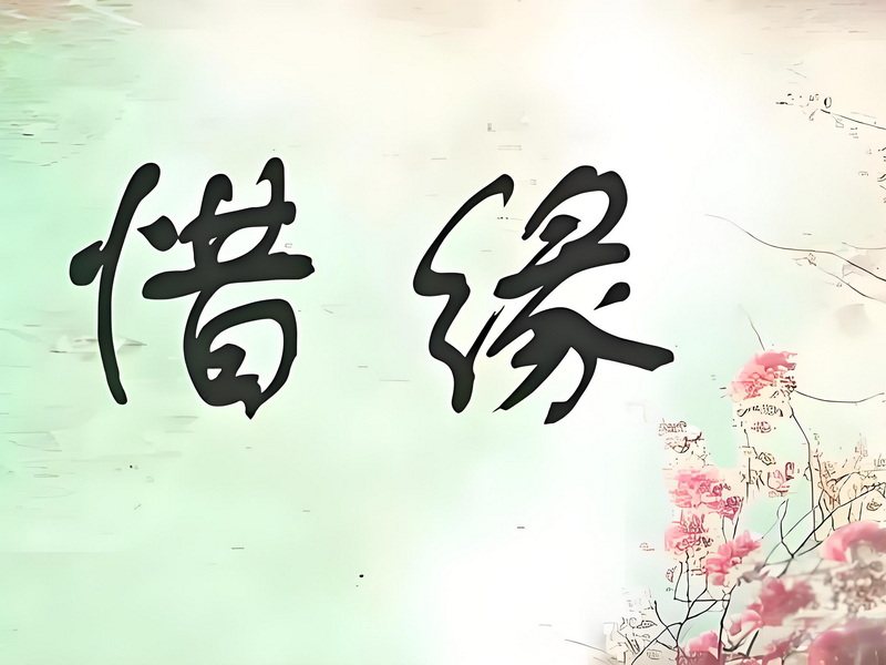 缘分情缘