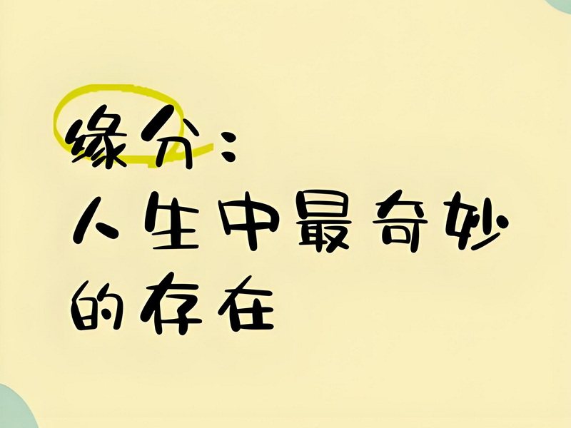 缘分情缘