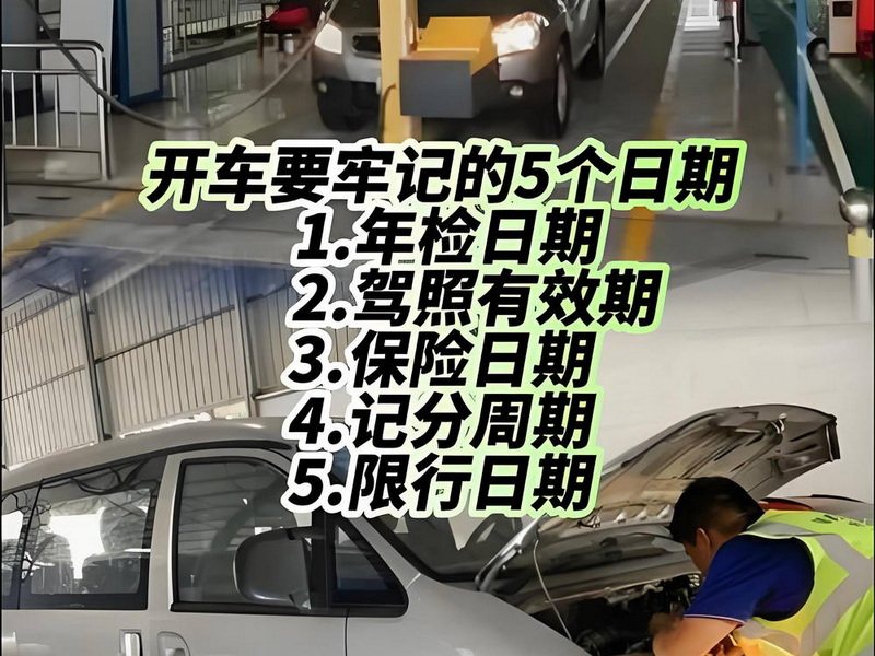 年审证照