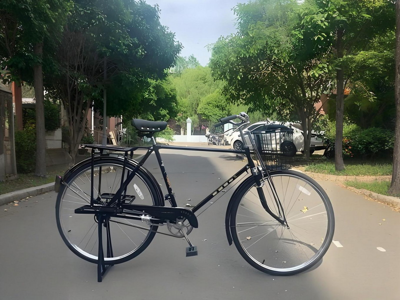 华山自行单车