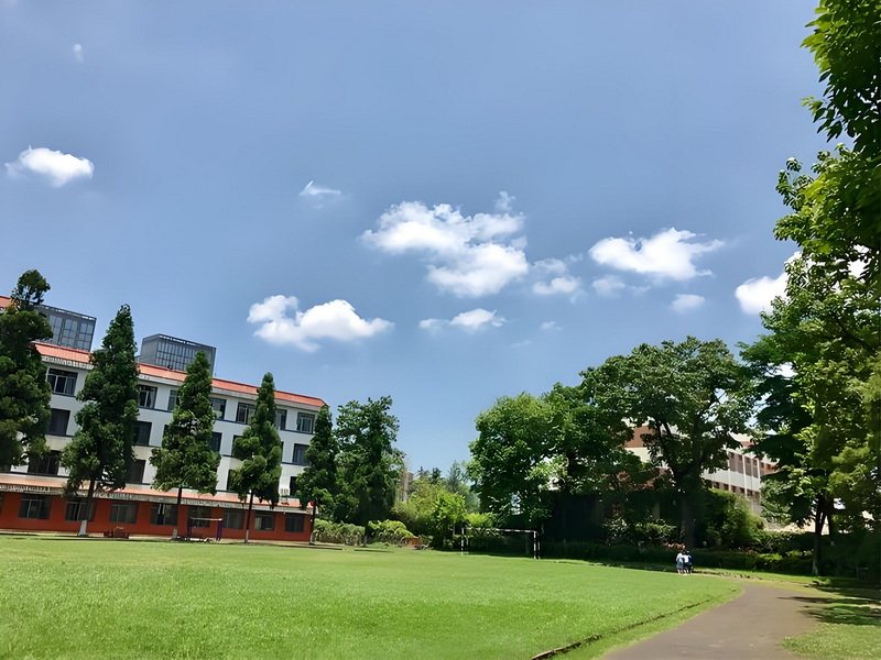 校园春光