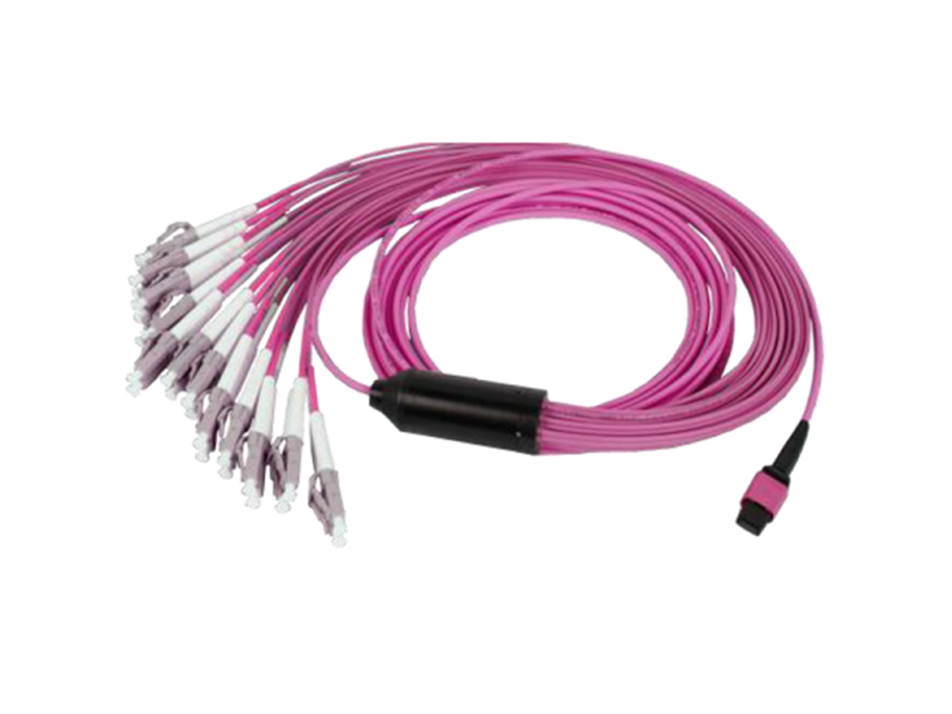12 f.o MPO(F)-LC OM4 Breakout Violet Cable