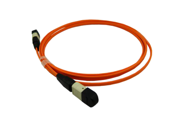 12 f.o MTP-MTP Ribbon OM2 Cable