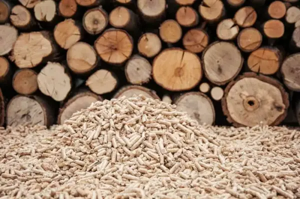 Mechpro Dexi location thumbnail