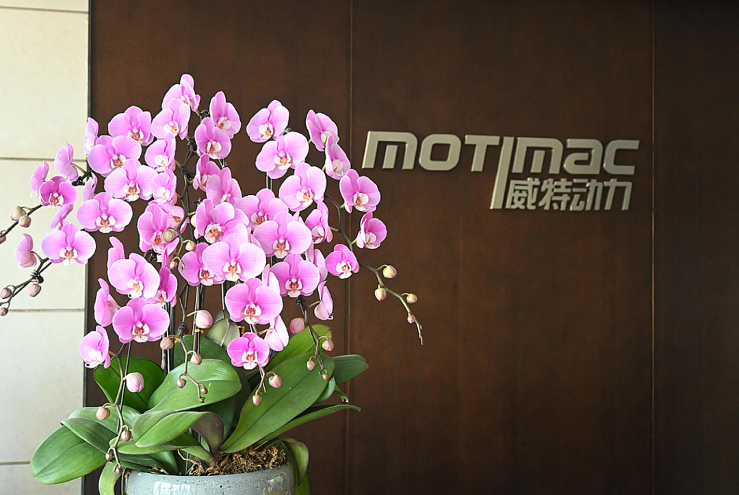 踔厉奋发，再启新征 | 2024，创新与奋斗，薪火相传，生生不息！