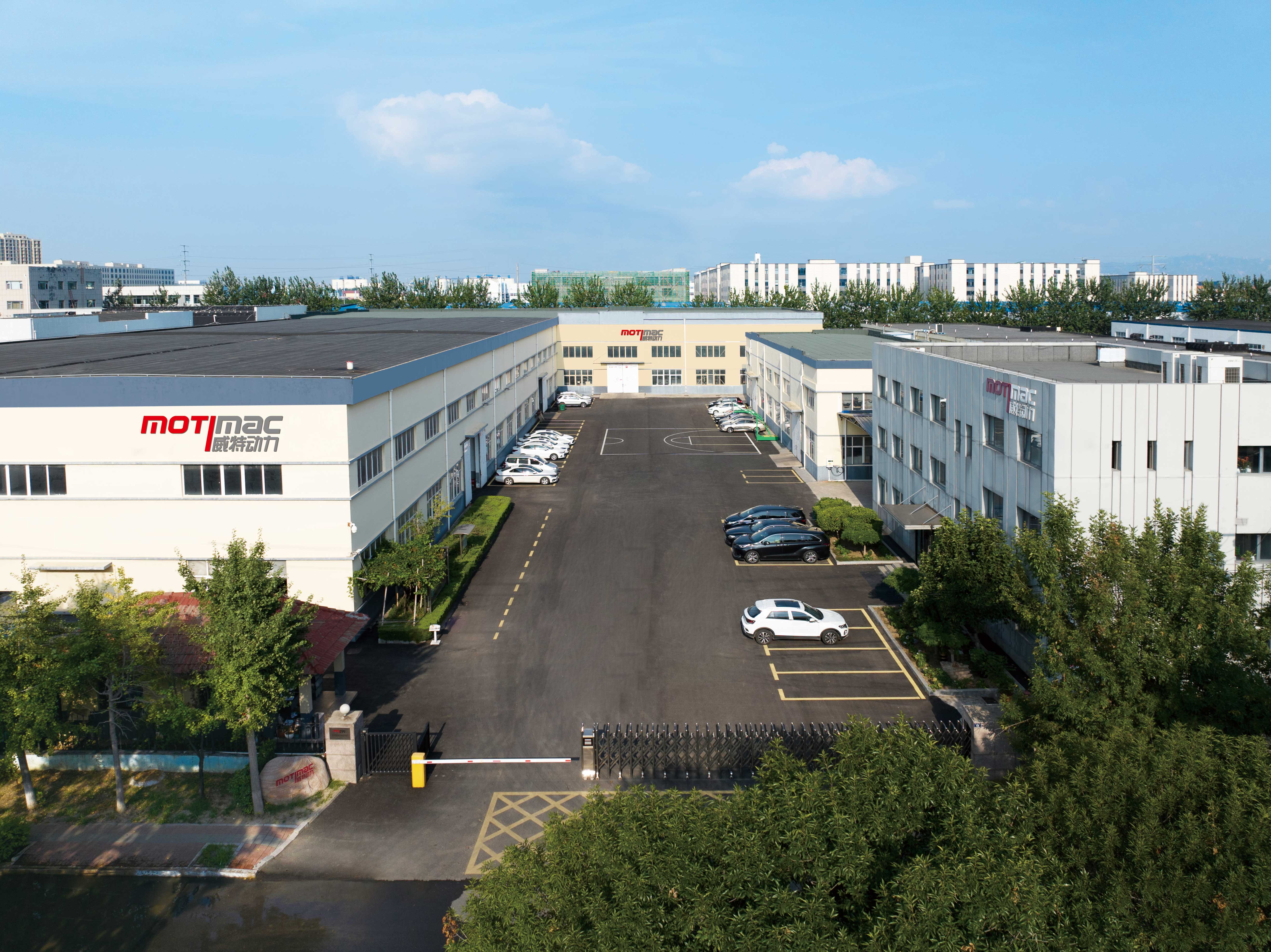 От истоков деревообработки до современных решений для шлифовки