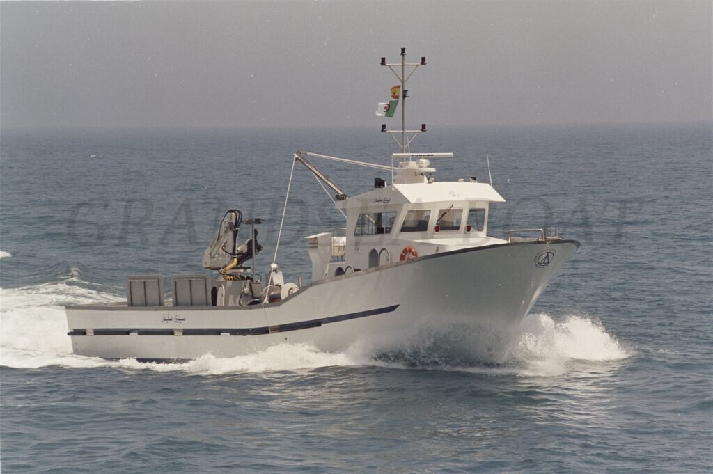 Grandsea Length 27m Commercial Purse Seine Fishing Boat for sale