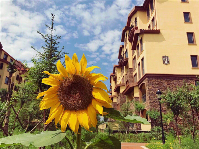 mmexport1536740734796