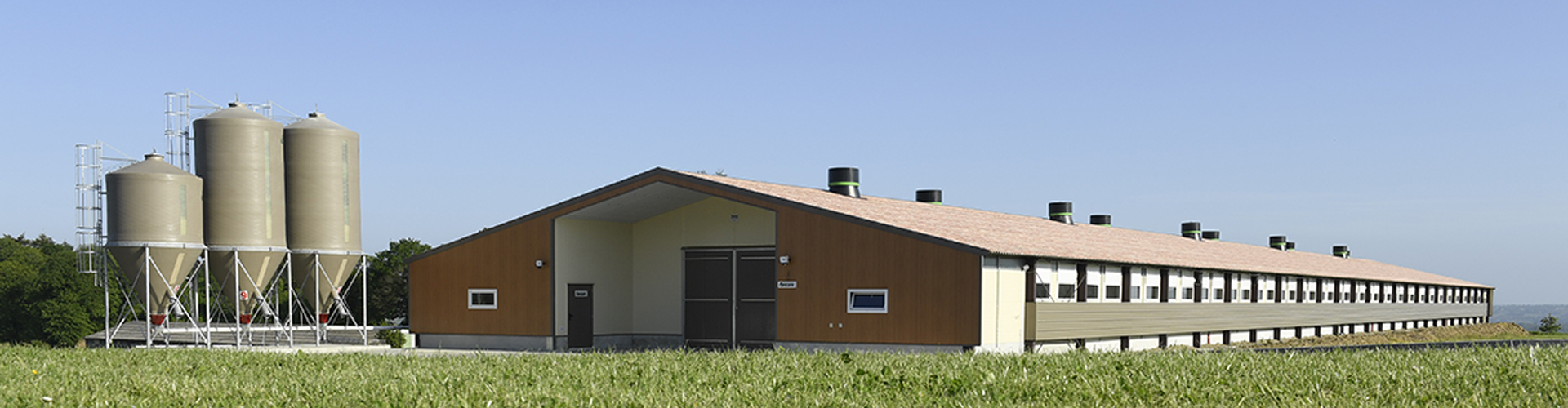 Step-by-Step Poultry Ventilation Installation Guide & FAQs