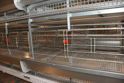 50000 Laying Hen Chicken Cages for Sale in Pakistan