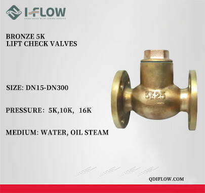 lift check valves.jpg