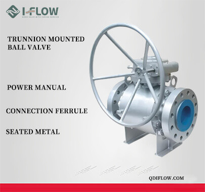 Trunnion Mounted Ball Valve易赛诺.jpg