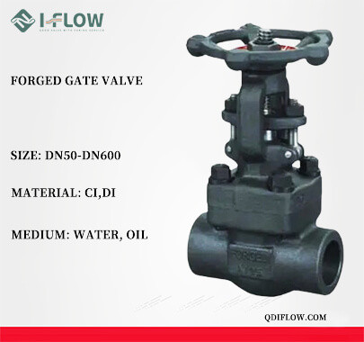 Forged Gate Valve易赛诺.jpg Forged Gate Valve易赛诺.jpg