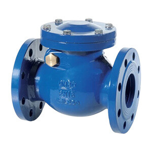 check valves.jpg