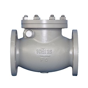 SWING CHECK VALVE SWING CHECK VALVE