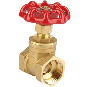 gate valve