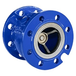 check valve