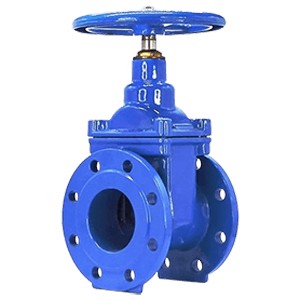 gate valve