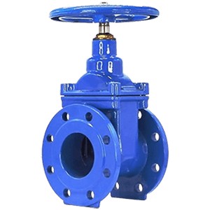 gate valve gate valve