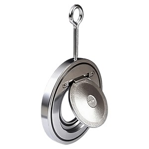 check valve check valve