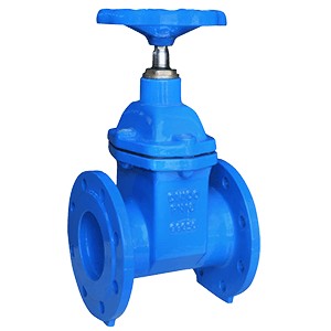 gate valve gate valve
