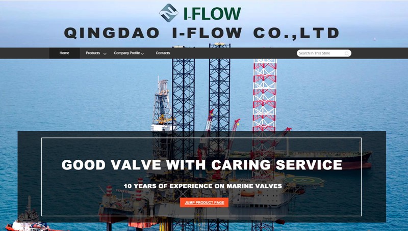 Qingdao I-Flow Co., Ltd