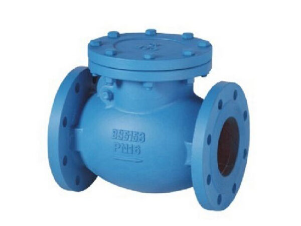 Чугунный обратный клапан BS5153 PN16 Чугунный обратный клапан BS5153 PN16