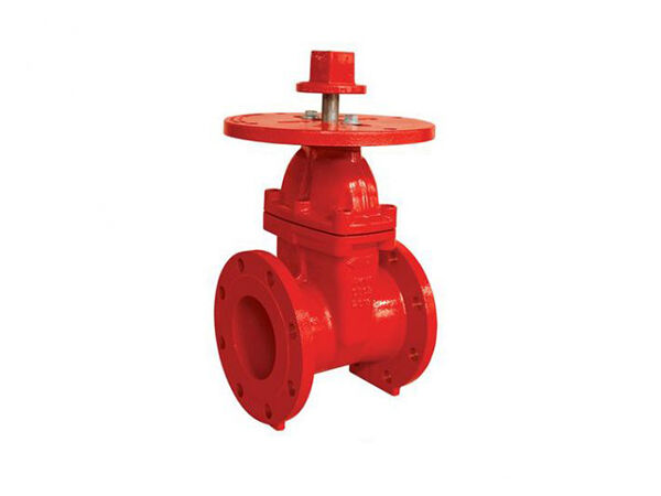 200PSI NRS Тип Фланцевый концевой затвор с круглой пластиной 200PSI NRS Тип Фланцевый концевой затвор с круглой пластиной