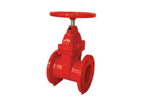 200PSI-NRS Тип Фланцевый торцевой затвор 200PSI-NRS Тип Фланцевый торцевой затвор