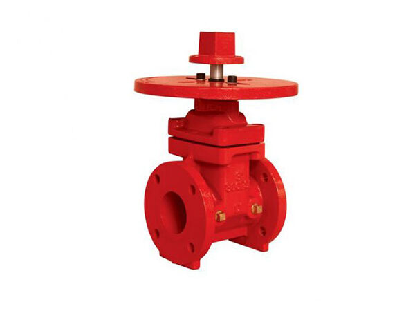 300PSI-NRS Тип Фланцевый торцевой затвор 300PSI-NRS Тип Фланцевый торцевой затвор