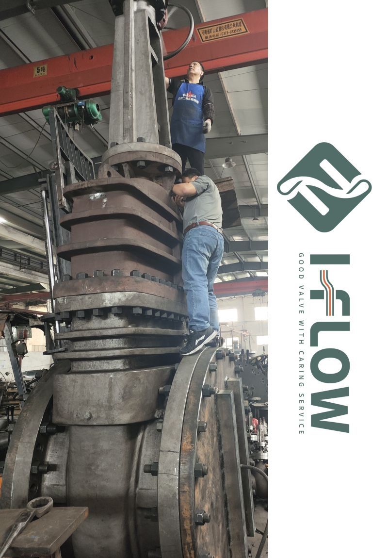 1684304913257.jpg 1684304913257.jpg