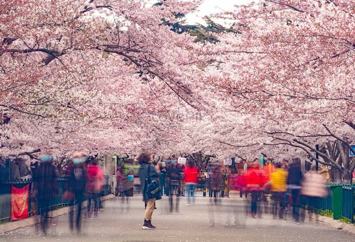 Чжуншань Парк