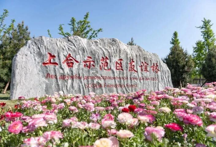 Парк РУЙИХУ